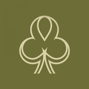 Dublinbet casino logotype